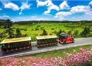 Tour Trung Quốc 4N4Đ: Trùng Khánh - Vũ Long - Thiên Sinh Tam Kiều - Hồng Nhai Động