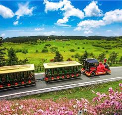 Tour Trung Quốc 4N4Đ: Trùng Khánh - Vũ Long - Thiên Sinh Tam Kiều - Hồng Nhai Động