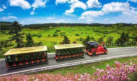 Tour Trung Quốc 4N4Đ: Trùng Khánh - Vũ Long - Thiên Sinh Tam Kiều - Hồng Nhai Động