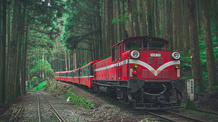 Quan cảnh tại cao nguyên rừng Alishan,