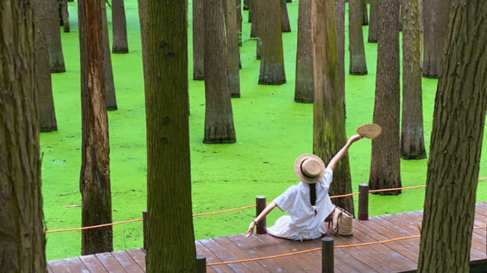 Đầm Lầy Thanh Sơn