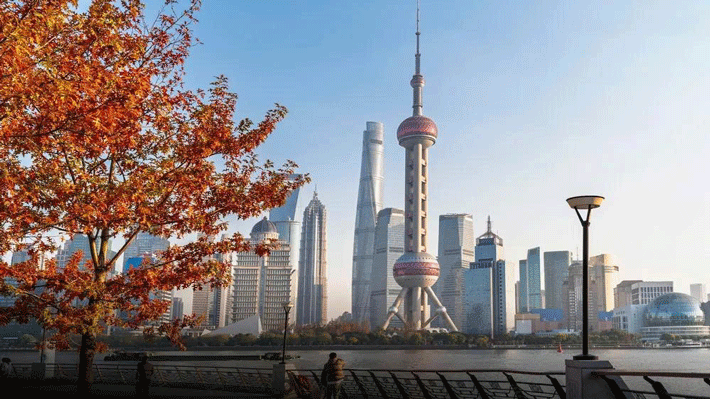Mùa Thu Thượng Hải.
