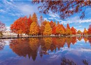 Tour Đài Loan 5N4Đ: HCM - Đài Trung - Cao Hùng - Đài Bắc - No Shopping