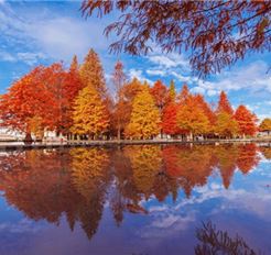 Tour Đài Loan 5N4Đ: HCM - Đài Trung - Cao Hùng - Đài Bắc - No Shopping