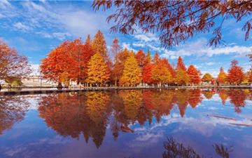 Tour Đài Loan 5N4Đ: HCM - Đài Trung - Cao Hùng - Đài Bắc - No Shopping