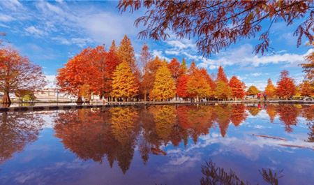 Tour Đài Loan 5N4Đ: HCM - Đài Trung - Cao Hùng - Đài Bắc - No Shopping