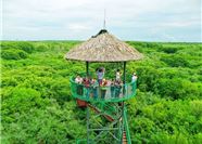 Tour Cần Giờ Trong Ngày: HCM - Rừng Sác - Đảo Khỉ