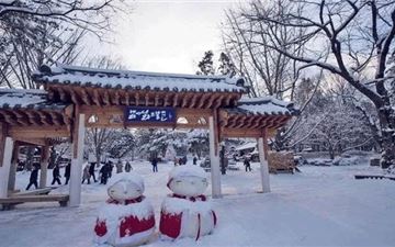 Tour Hàn Quốc 5N5Đ: HCM - Busan - Daegu - Seoul - Làng Bích Họa Gamcheon - Đảo Nami