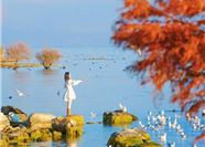 Tour Trung Quốc Đường Bộ 4N4Đ: Hà Nội - Lào Cai - Hà Khẩu - Đại Lý - Côn Minh