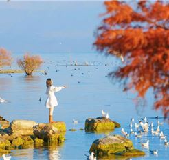 Tour Trung Quốc Đường Bộ 4N4Đ: Hà Nội - Lào Cai - Hà Khẩu - Đại Lý - Côn Minh