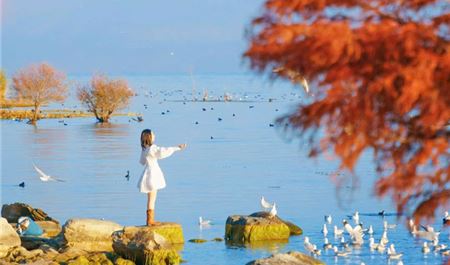 Tour Trung Quốc Đường Bộ 4N4Đ: Hà Nội - Lào Cai - Hà Khẩu - Đại Lý - Côn Minh