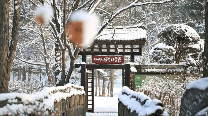 Mùa Đông đảo Nami.