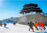 Tour Tết Hàn Quốc 6N5Đ: HCM - Seoul - Đảo Nami - Lotte World - Trượt Tuyết Elysian Gangchon
