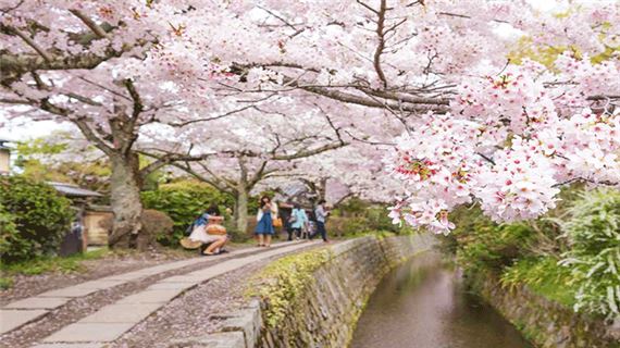 Con đường triết học