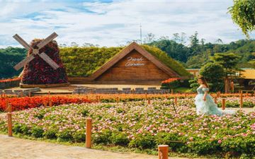 Tour Đà Lạt 3N3Đ: HCM - Thị Trấn Iyashi - Vườn Châu Âu - Lạc Hư Cổ Trấn - Fresh Garden