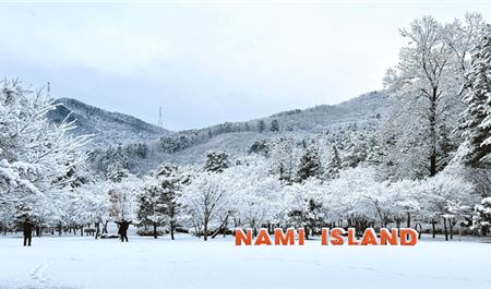 Tour Hàn Quốc 5N4Đ: HCM - Seoul - Cảnh Phúc Cung - Đảo Nami