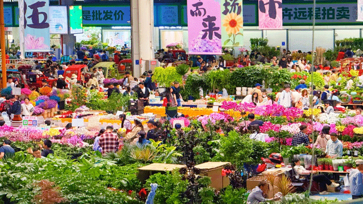 Chợ Hoa Đấu Nam