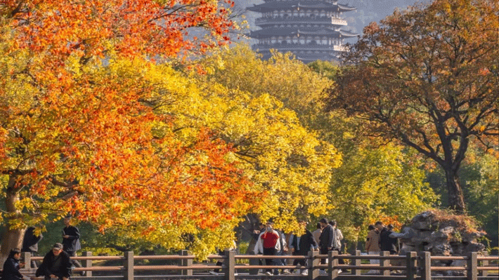 Mùa Thu ở Tô Châu Trung Quốc.
