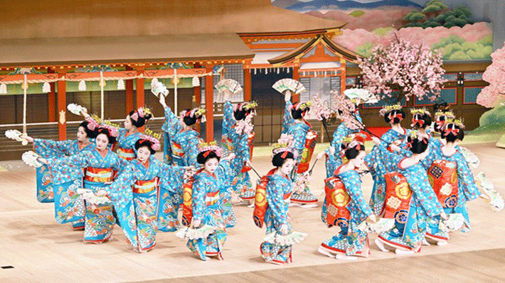 Thưởng thức Show Geisha