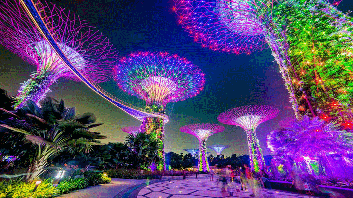 Gardens by the Bay ban đêm.