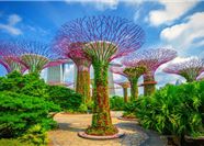 Tour Tết Singapore 3N2Đ: HCM - Gardens By The Bay - Kampong Glam - Đảo Sentosa