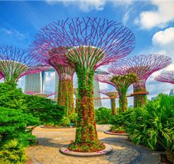 Tour Tết Singapore 3N2Đ: HCM - Gardens By The Bay - Kampong Glam - Đảo Sentosa