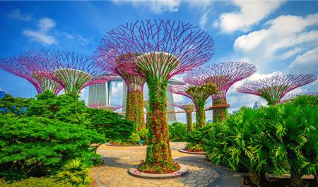 Tour Tết Singapore 3N2Đ: HCM - Gardens By The Bay - Kampong Glam - Đảo Sentosa