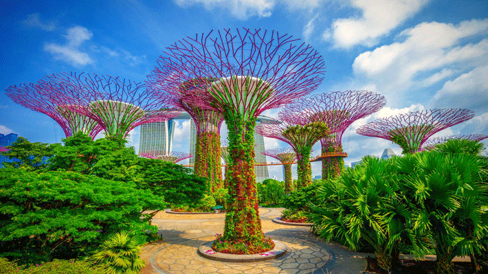 Garden By The Bay