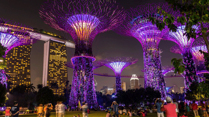 Gardens by the Bay ban đêm.
