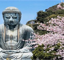 Tour Nhật Bản 6N5Đ: Hà Nội - Tokyo - Phú Sĩ - Kyoto - Osaka - Đại Phật Kamakura