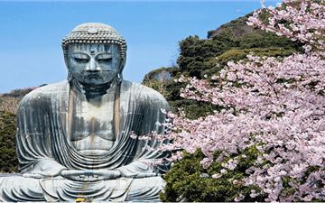 Tour Nhật Bản 6N5Đ: Hà Nội - Tokyo - Phú Sĩ - Kyoto - Osaka - Đại Phật Kamakura