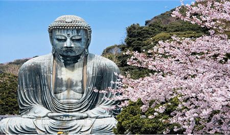 Tour Nhật Bản 6N5Đ: Hà Nội - Tokyo - Phú Sĩ - Kyoto - Osaka - Đại Phật Kamakura