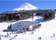 Tour Nhật Bản 6N5Đ: HCM - Kansai - Osaka - Matsumoto - Tokyo - Làng Cổ Shirakawago - Trượt tuyết Fujiten