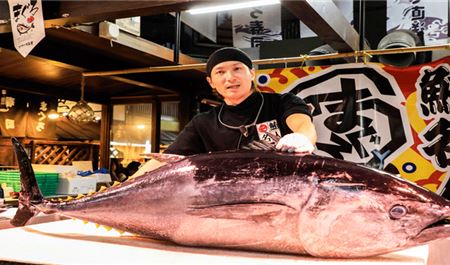 Tour Nhật Bản 6N5Đ: Hà Nội - Osaka - Kyoto - Phú Sĩ - Tokyo - Show Cá Ngừ