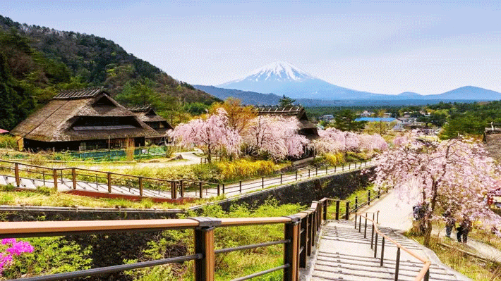 Làng cổ Oshino Hakkai.
