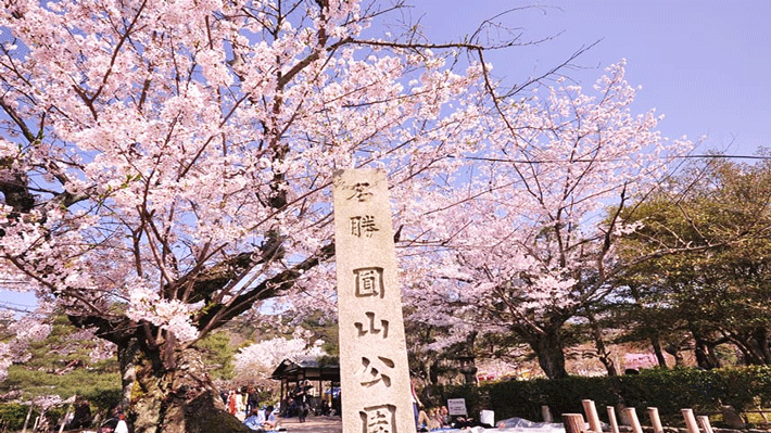 Công viên Maruyama