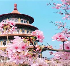 Tour Đài Loan 5N4Đ: Hà Nội - Đài Bắc - Đài Trung - Cao Hùng - Hoa Anh Đào