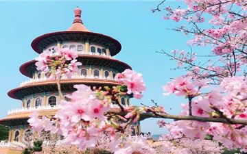 Tour Đài Loan 5N4Đ: Hà Nội - Đài Bắc - Đài Trung - Cao Hùng - Hoa Anh Đào