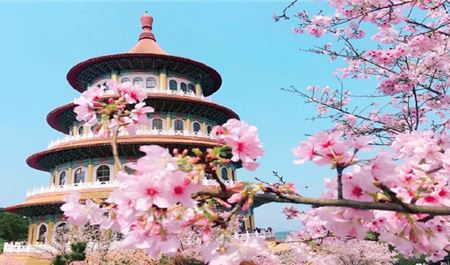 Tour Đài Loan 5N4Đ: Hà Nội - Đài Bắc - Đài Trung - Cao Hùng - Hoa Anh Đào