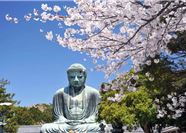Tour Nhật Bản Hoa Anh Đào 5N5Đ: HCM - Tokyo - Đại Phật Kamakura - Công Viên Ueno - Núi Phú Sĩ