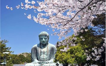Tour Nhật Bản Hoa Anh Đào 5N5Đ: HCM - Tokyo - Đại Phật Kamakura - Công Viên Ueno - Núi Phú Sĩ
