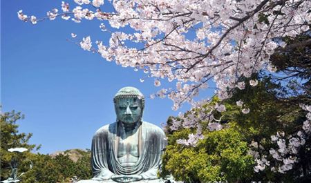 Tour Nhật Bản Hoa Anh Đào 5N5Đ: HCM - Tokyo - Đại Phật Kamakura - Công Viên Ueno - Núi Phú Sĩ