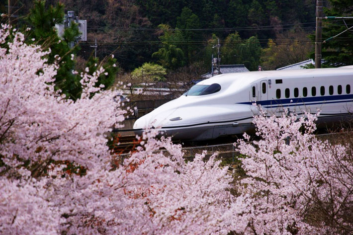 Trải nghiệm tàu siêu tốc Shinkansen