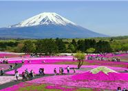 Tour Nhật Bản 6N5Đ: Hà Nội - Osaka - Kobe - Kyoto - Phú Sĩ - Tokyo - Hoa Chi Anh