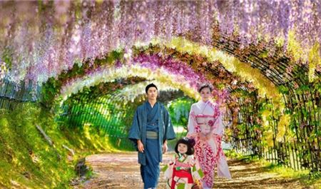 Tour Nhật Bản 6N5Đ: Hà Nội - Tokyo - Phú Sĩ - Kyoto - Osaka - Hoa Tử Đằng