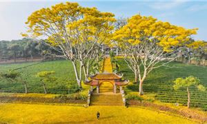 Tu Viện Bát Nhã (Bảo Lộc).