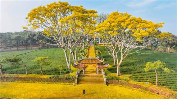 Tu Viện Bát Nhã (Bảo Lộc).