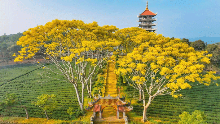 Tu Viện Bát Nhã (Bảo Lộc).