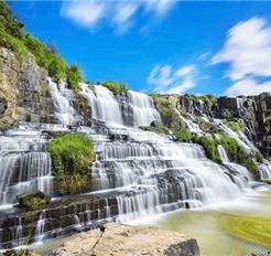 Tour Tết Đà Lạt 4N3Đ: HCM - Đồi Chè Cầu Đất - Thác Pongour - Happy Hill - Fresh Garden