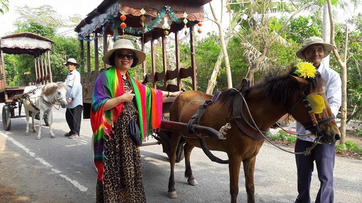 Trải nghiệm đi xe ngựa